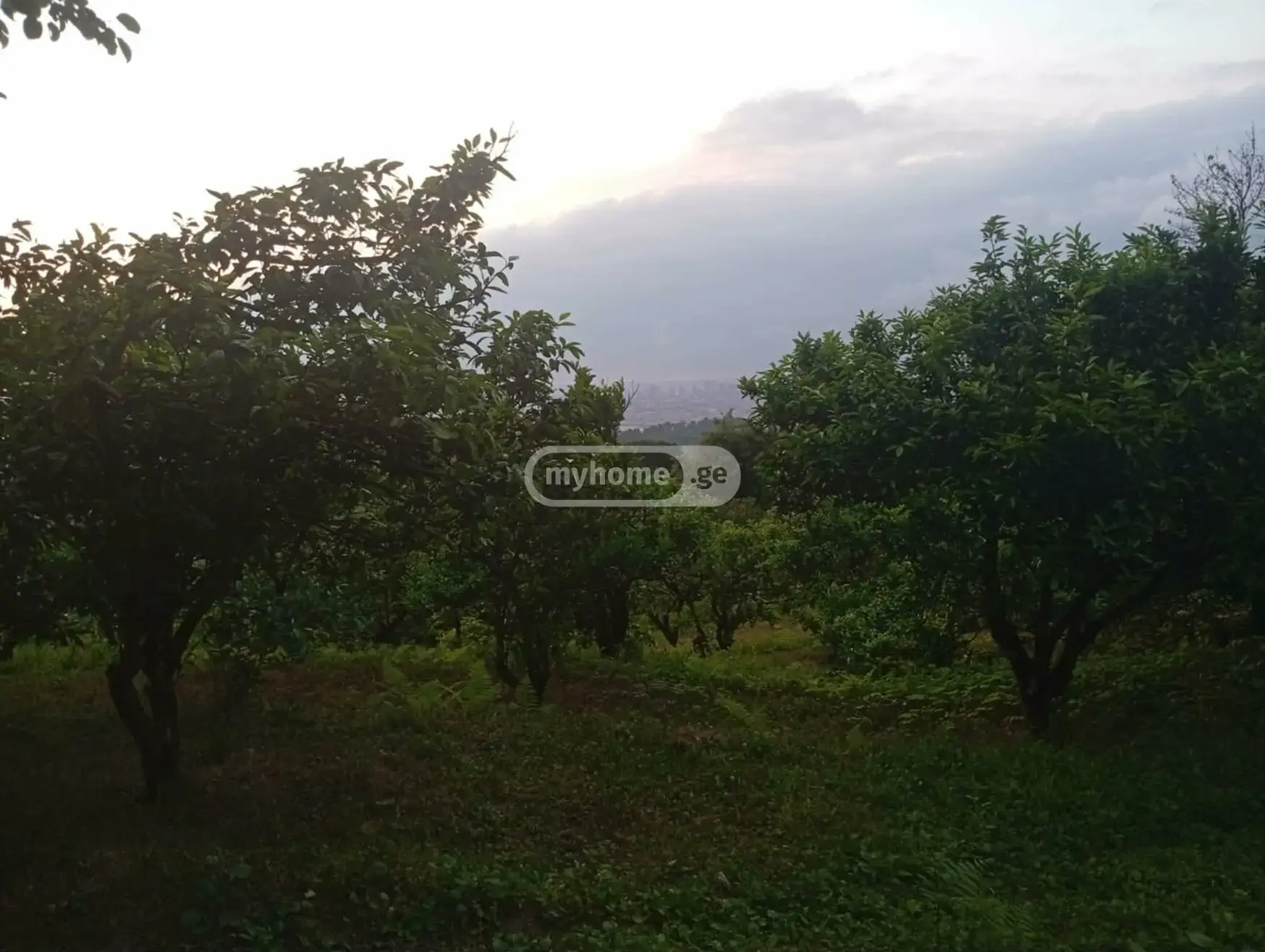 Продажа Земля / участок в Khelvachaurshi view 4