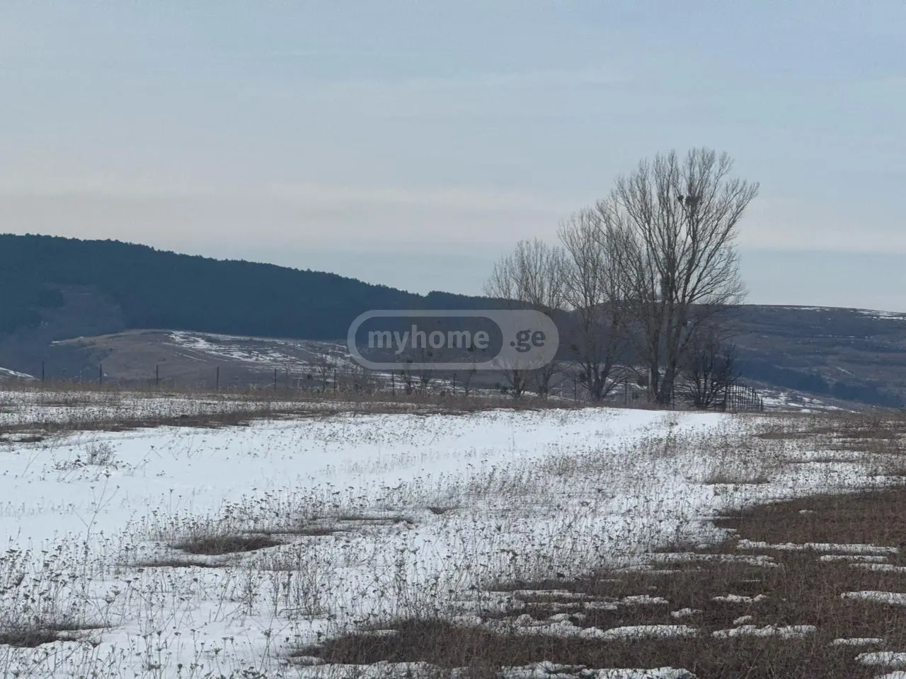 Продажа Земля / участок в Tianetis Munitsipalitetshi view 6
