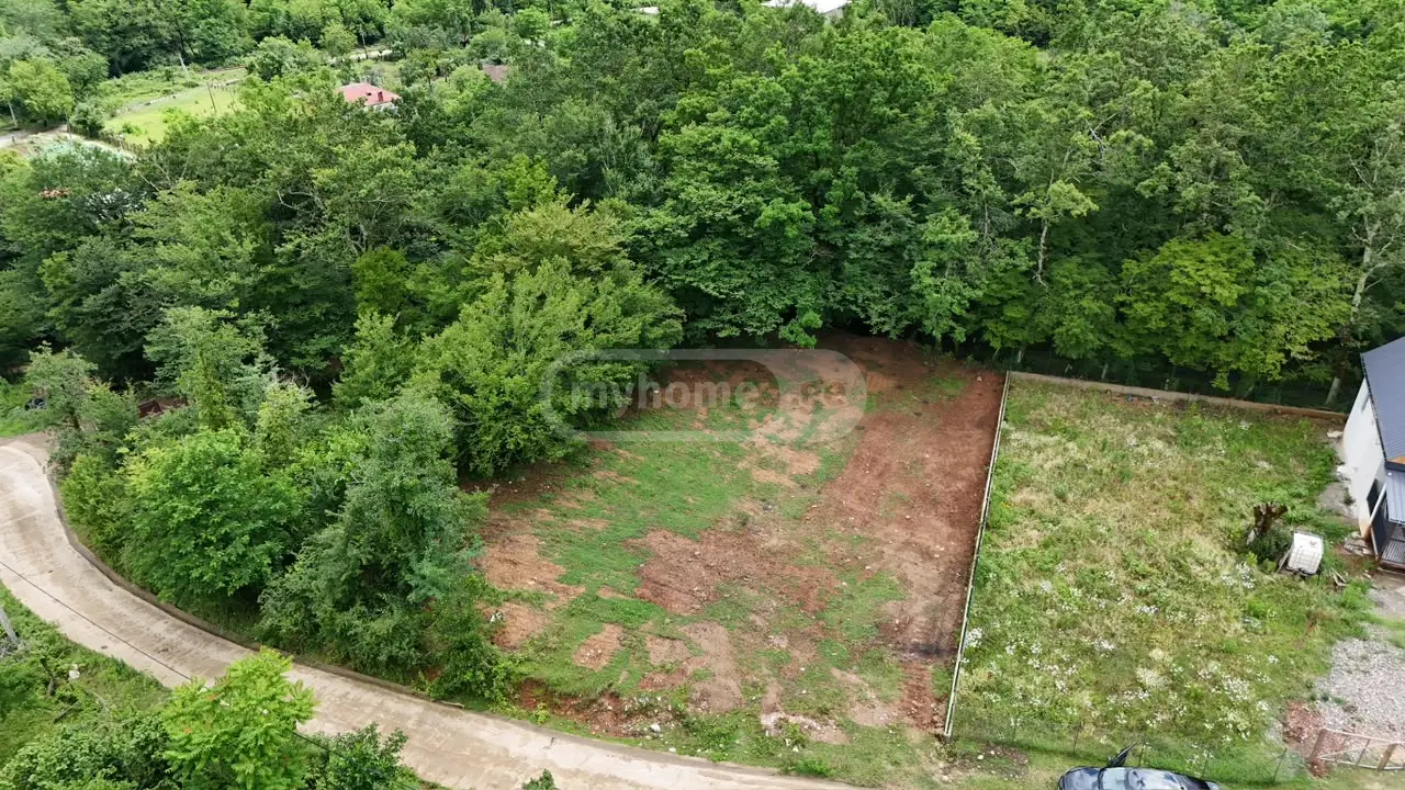 For Sale Sasoplo-Sameurneo Land Plot Tqibulshi view 4