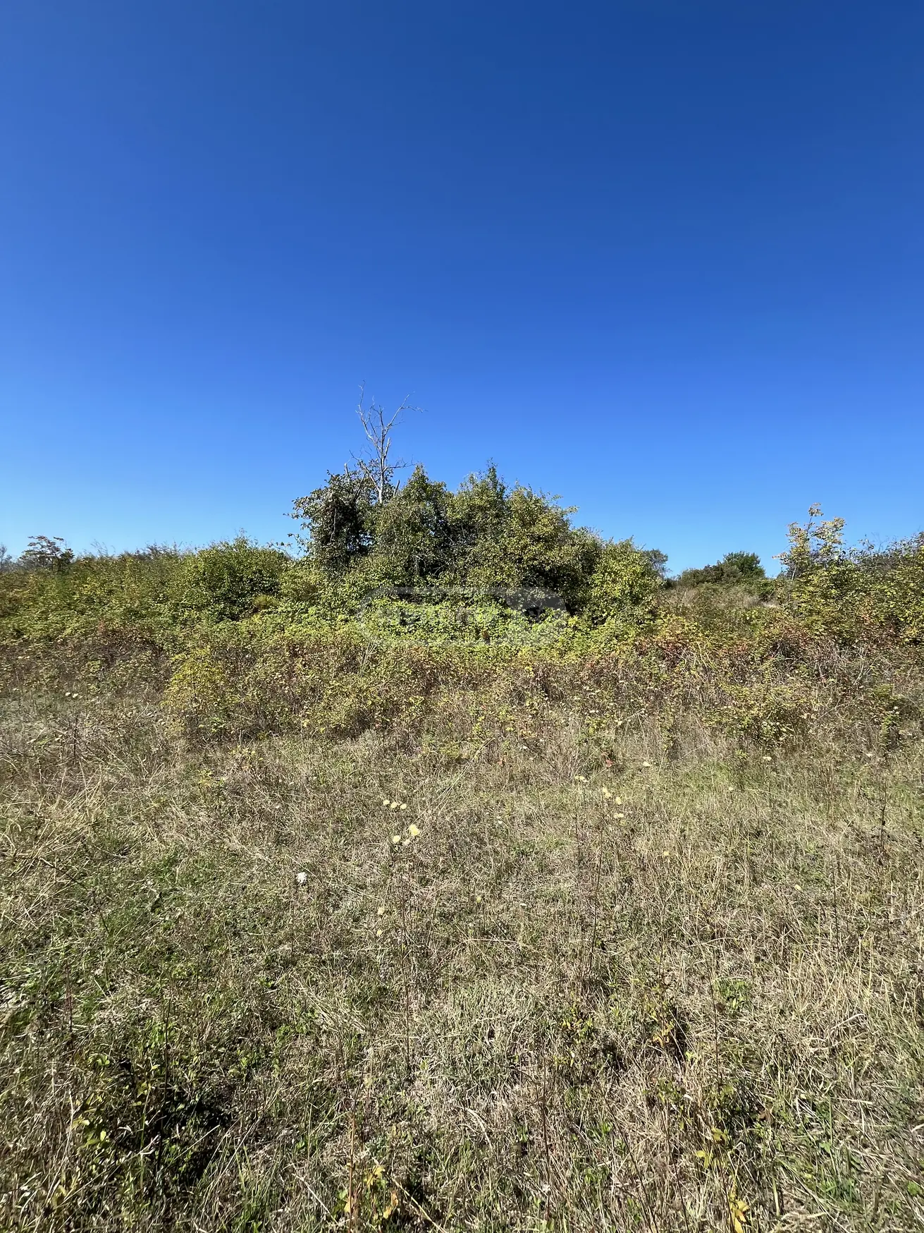 For Sale Sasoplo-Sameurneo Land Plot Gurjaanis Munitsipalitetshi view 10