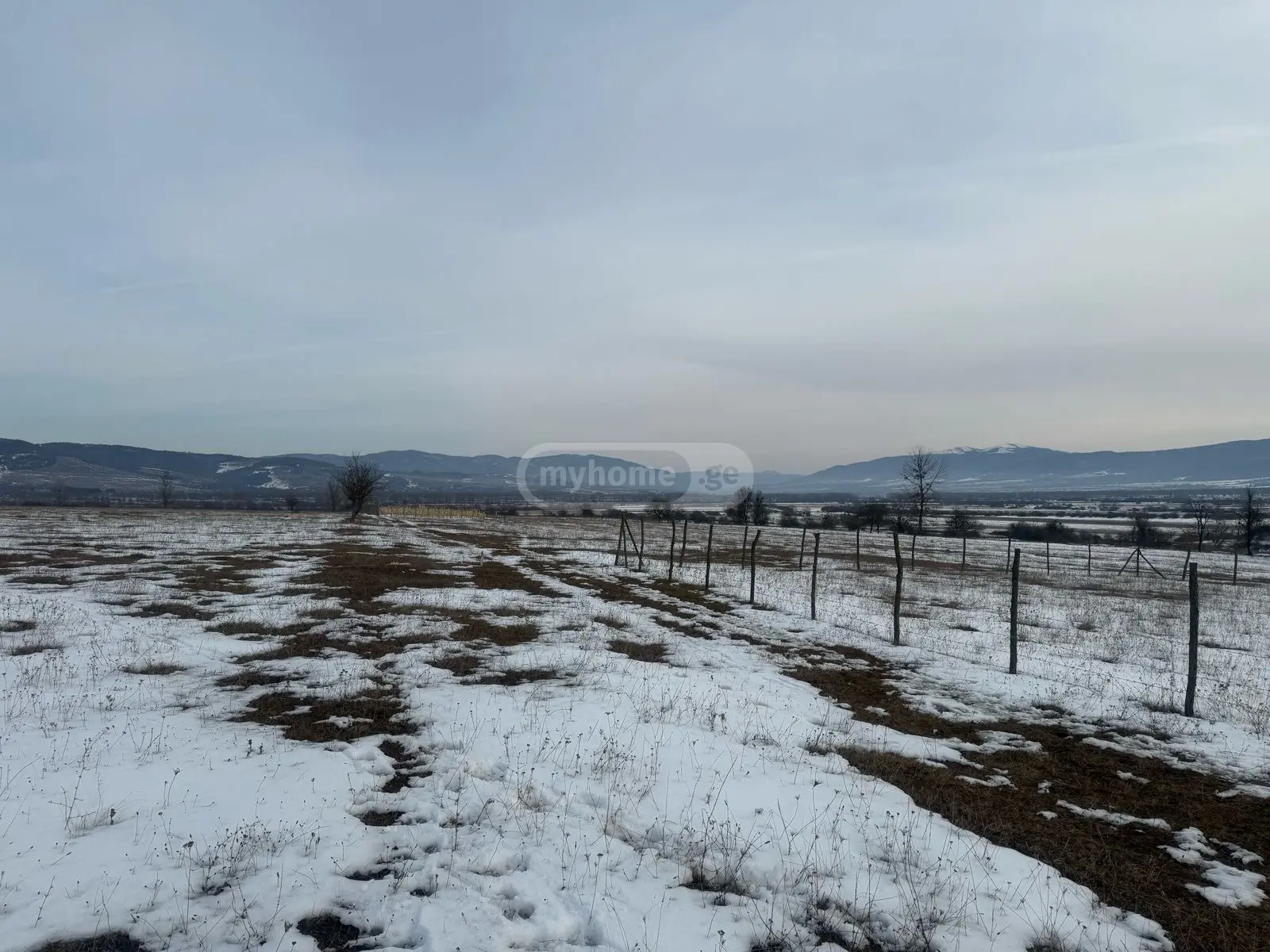 For Sale Sasoplo-Sameurneo Land Plot Tianetis Munitsipalitetshi view 1