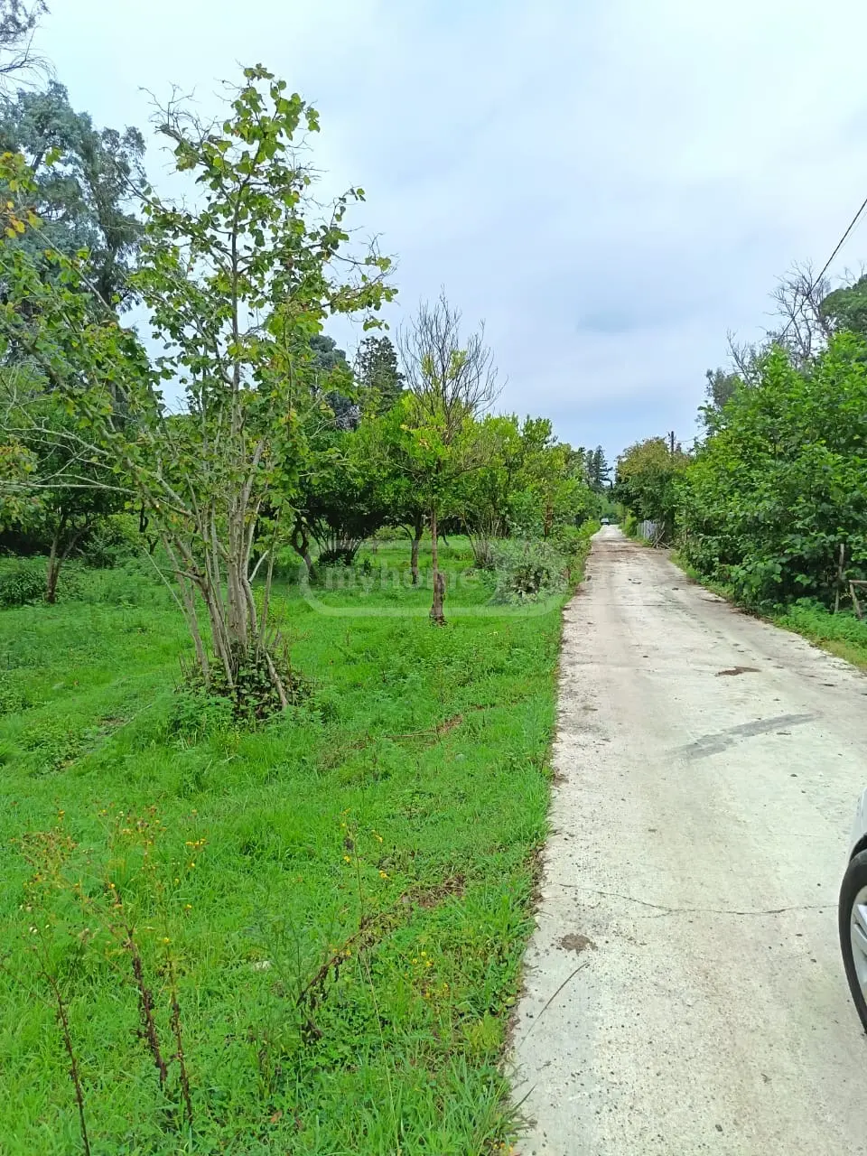 For Sale Sasoplo-Sameurneo Land Plot Khelvachauris Munitsipalitetshi view 1