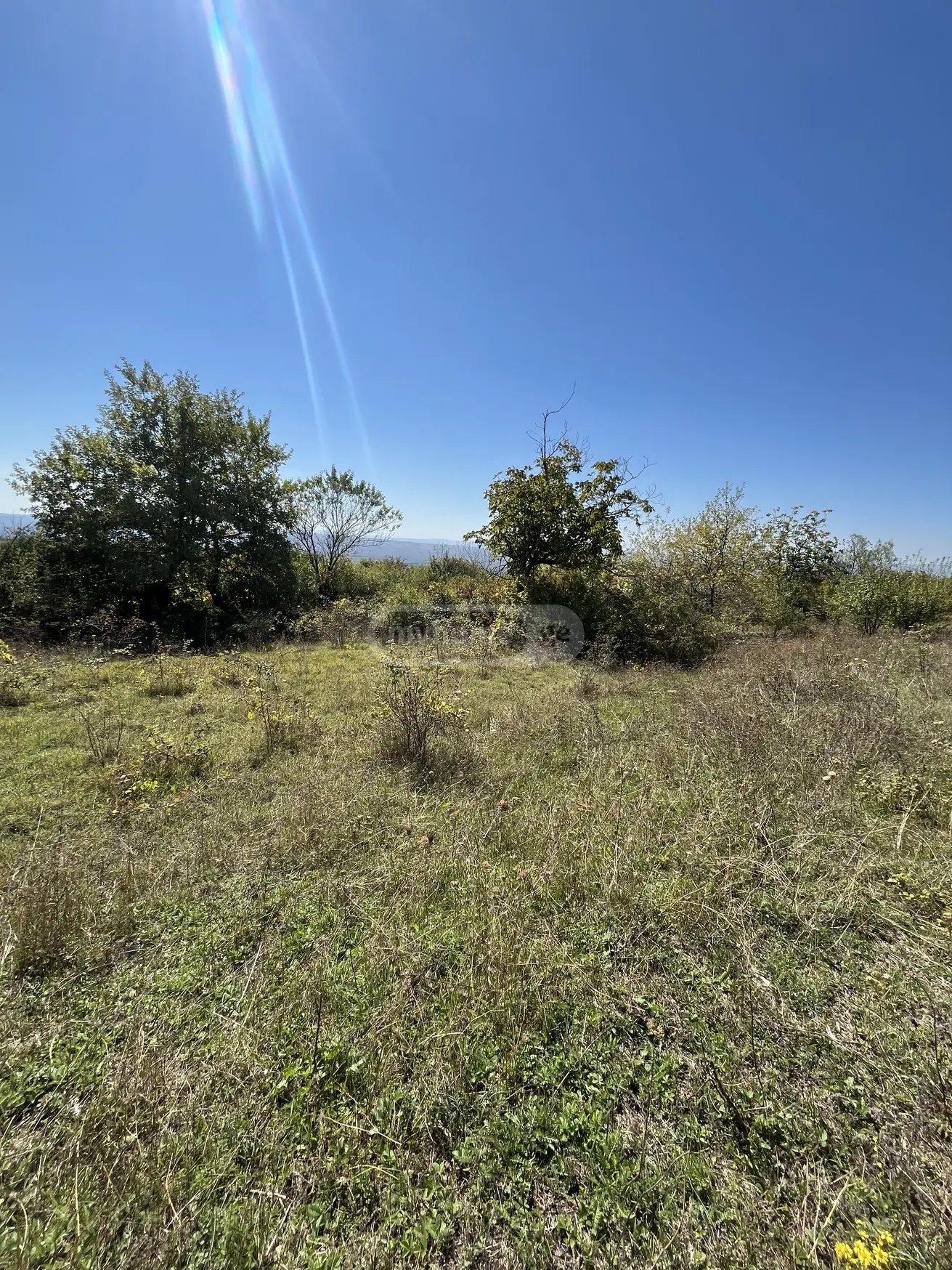 For Sale Sasoplo-Sameurneo Land Plot Gurjaanis Munitsipalitetshi view 5