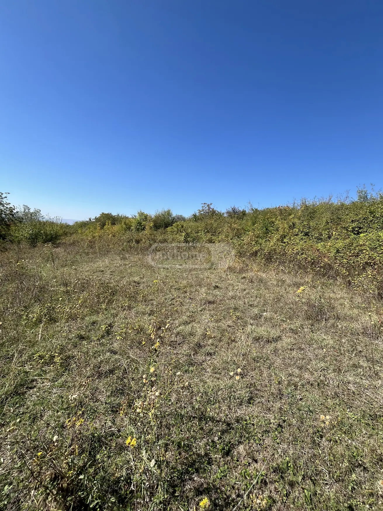 For Sale Sasoplo-Sameurneo Land Plot Gurjaanis Munitsipalitetshi view 1