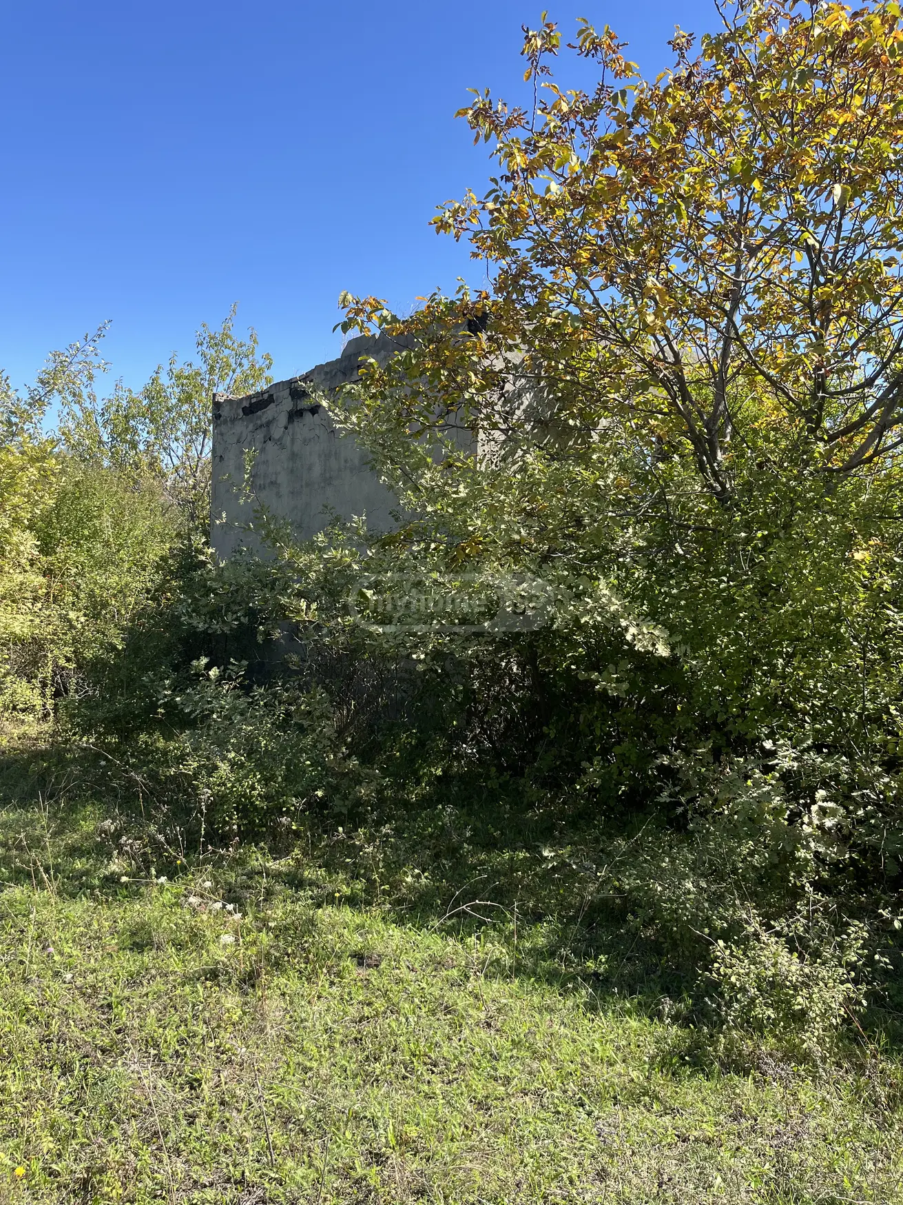 For Sale Sasoplo-Sameurneo Land Plot Gurjaanis Munitsipalitetshi view 3