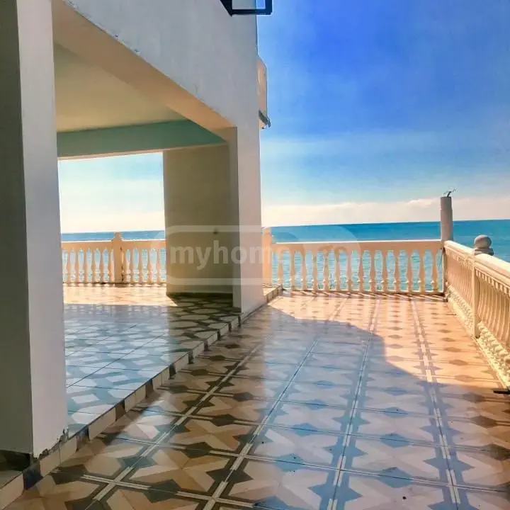 Daily Rent 10+ Room Private House In Batumi view 1