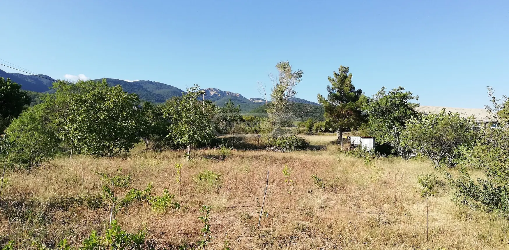 For Sale 3 Room Country House Sagarejoshi view 4
