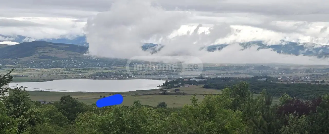 For Sale Sasoplo-Sameurneo Land Plot Dushetis Munitsipalitetshi view 1