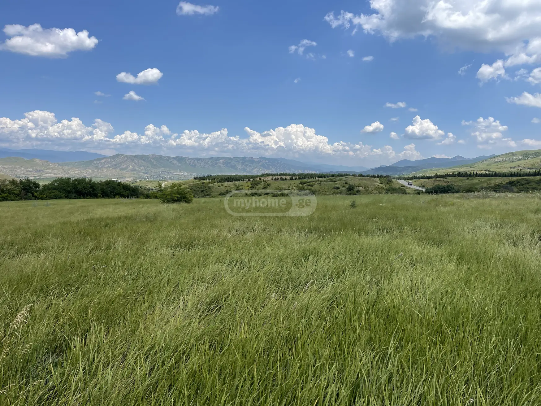 For Sale Sasoplo-Sameurneo Land Plot Kaspis Munitsipalitetshi view 1