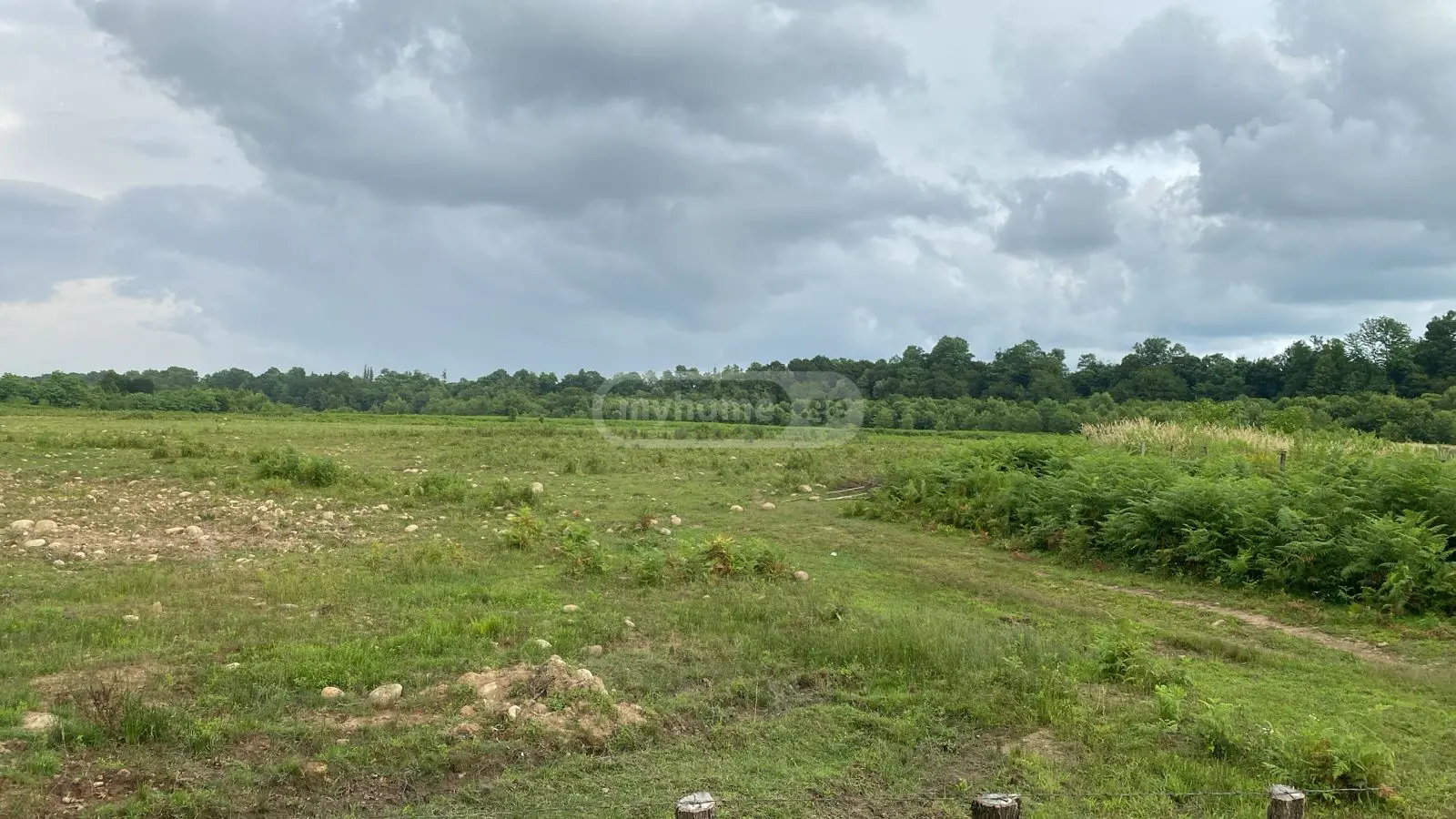 For Sale Sasoplo-Sameurneo Land Plot Zugdidshi view 16
