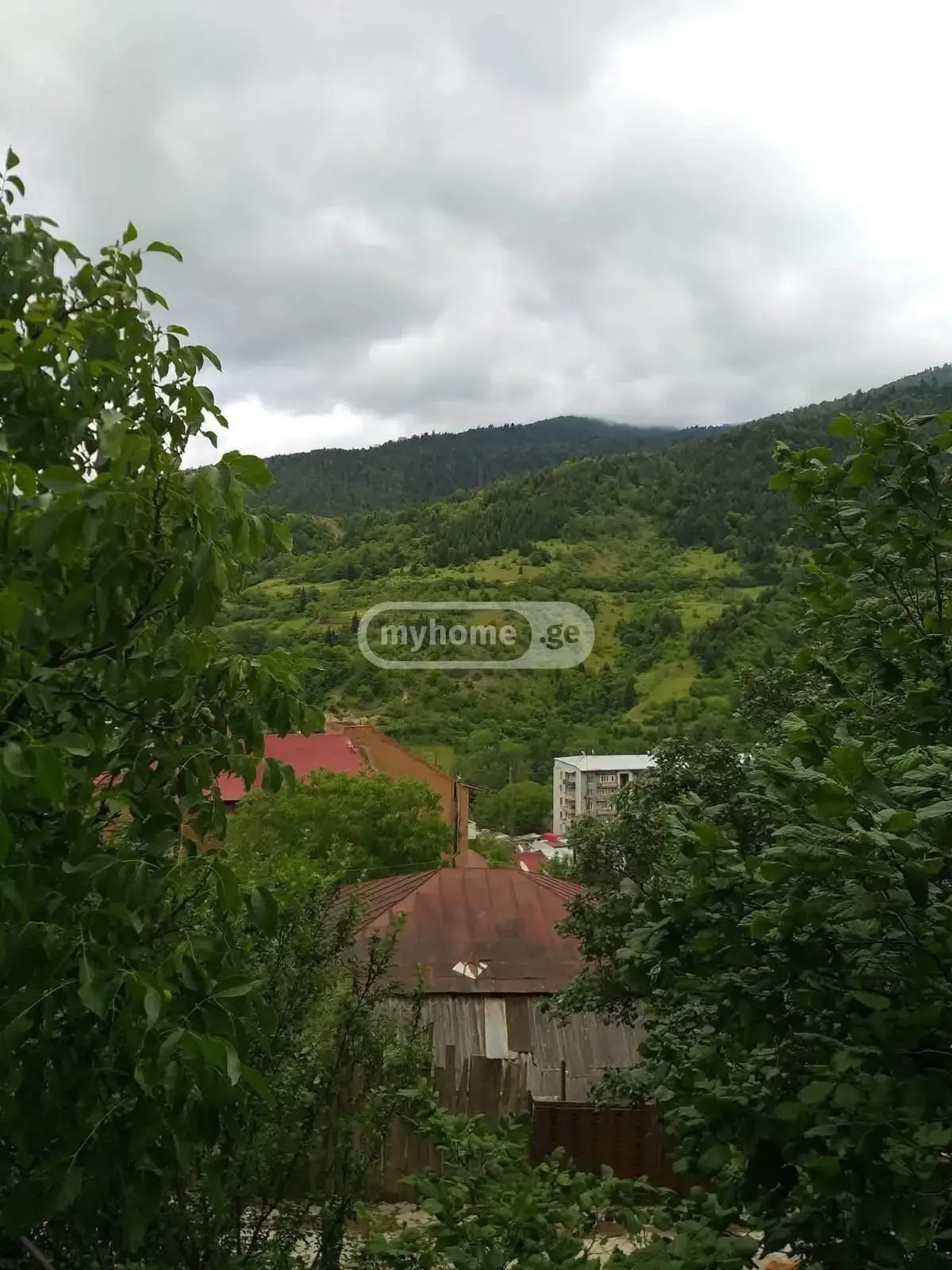 For Sale 6 Room Country House Borjomshi view 7