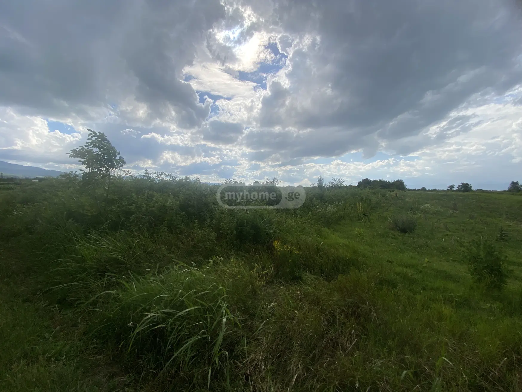 For Sale Sasoplo-Sameurneo Land Plot Telavis Munitsipalitetshi view 4