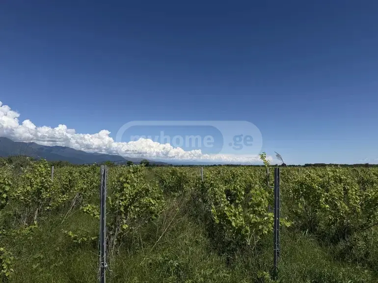იყიდება მიწა / ნაკვეთი Qvarelshiში view 2