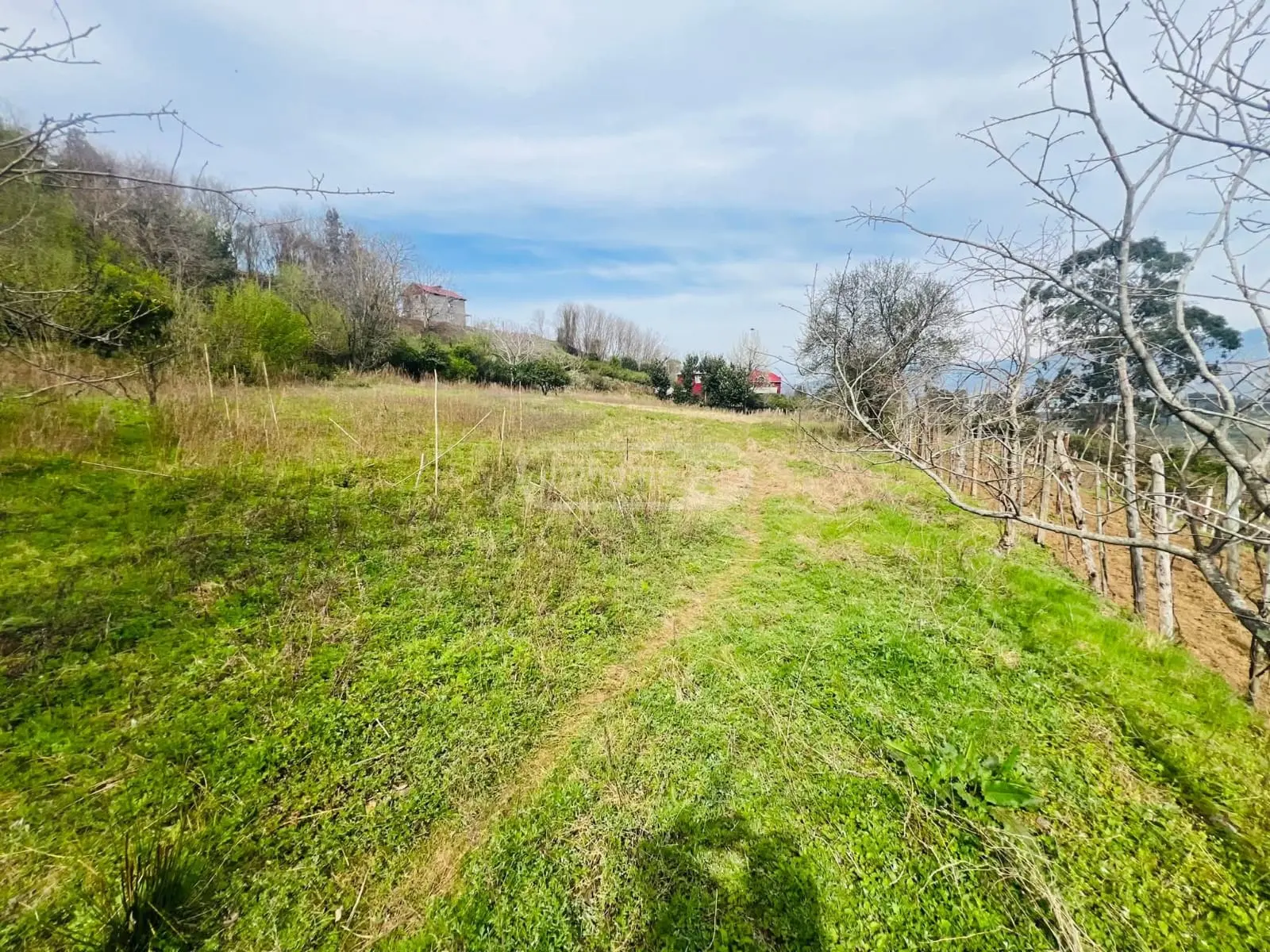 For Sale Sasoplo-Sameurneo Land Plot In Batumi view 2