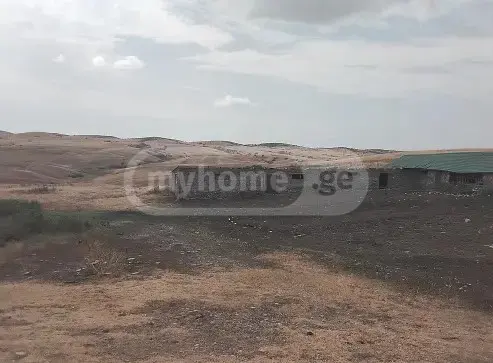 For Sale Sasoplo-Sameurneo Land Plot Sighnaghshi view 1