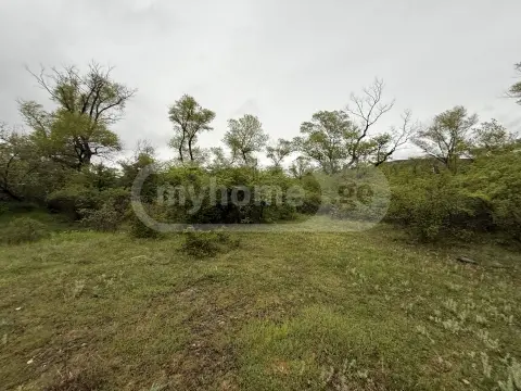 For Sale Sasoplo-Sameurneo Land Plot Mtskhetis Munitsipalitetshi view 4