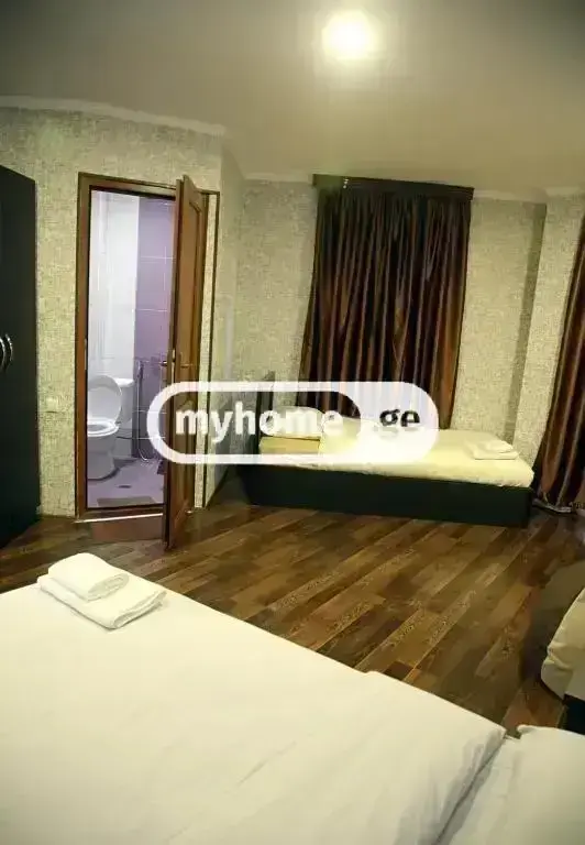 For Rent 10+ Room Sastumro Nadzaladevshi view 9