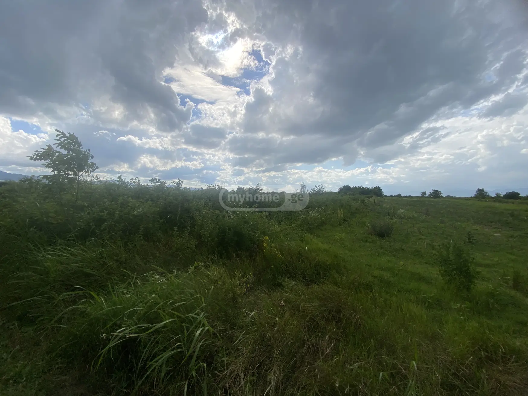For Sale Sasoplo-Sameurneo Land Plot Telavis Munitsipalitetshi view 2