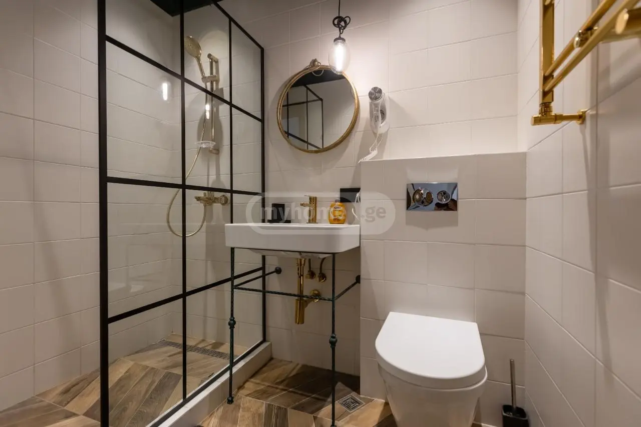 For Rent 1 Room Apartment Mtskhetashi view 7