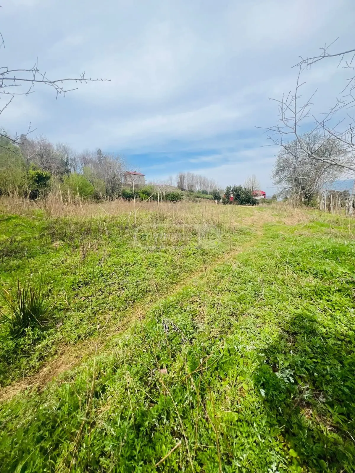 For Sale Sasoplo-Sameurneo Land Plot In Batumi view 6