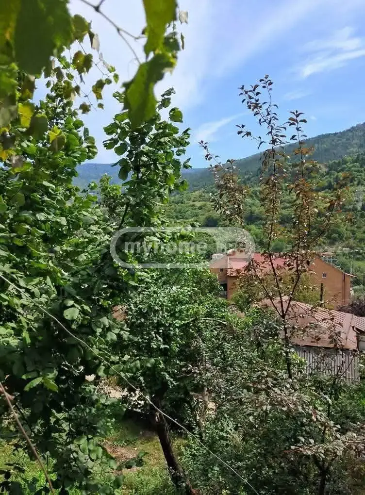 For Sale 6 Room Country House Borjomshi view 9