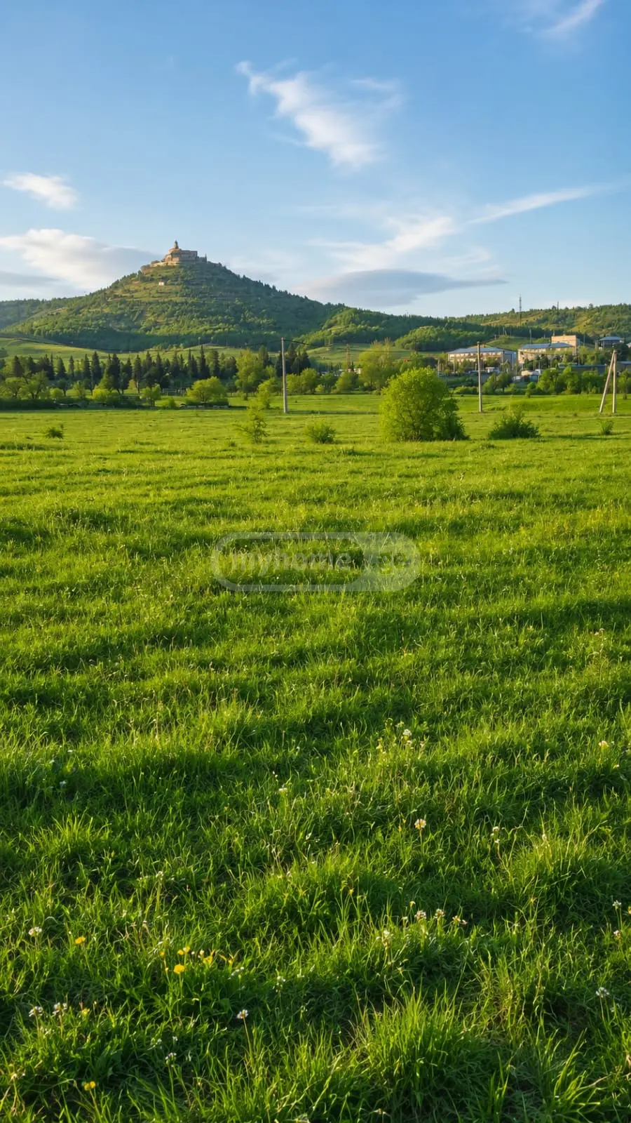 For Sale Sasoplo-Sameurneo Land Plot Gardabnis Munitsipalitetshi view 1