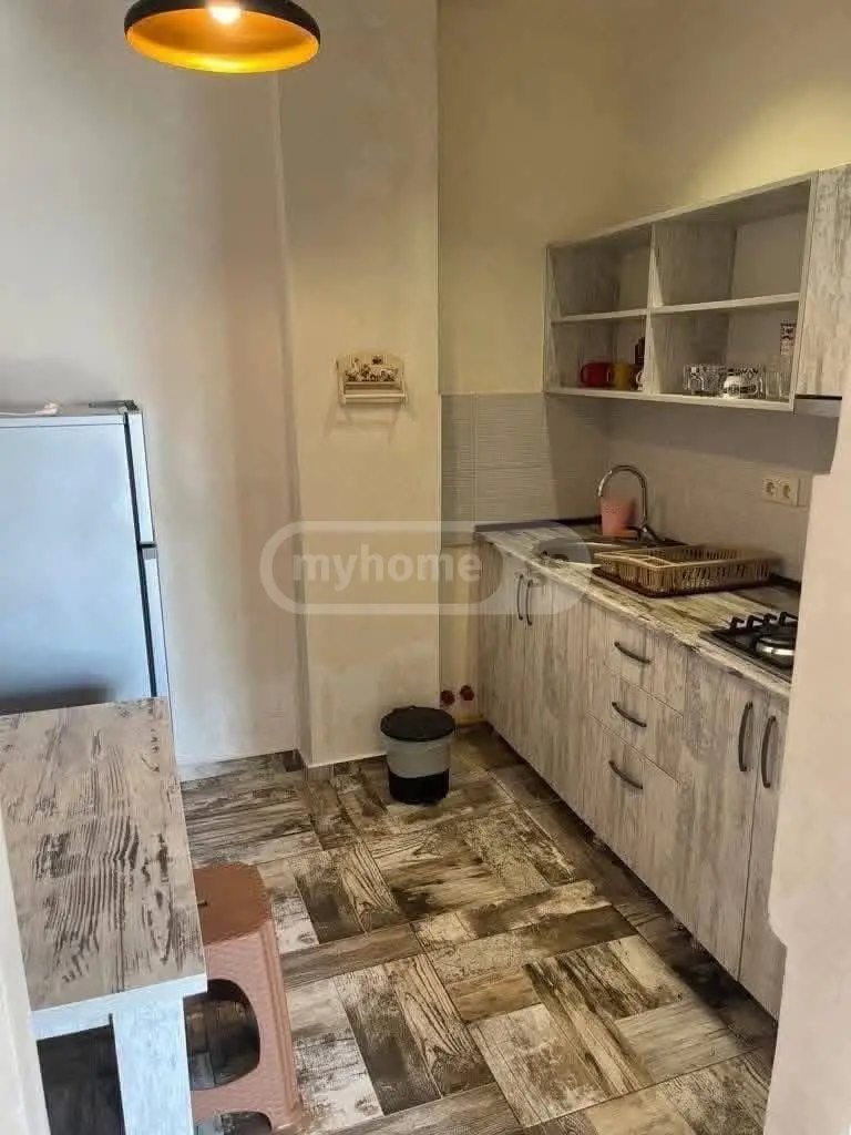 Daily Rent 10+ Room Sastumro Kobuletshi view 13