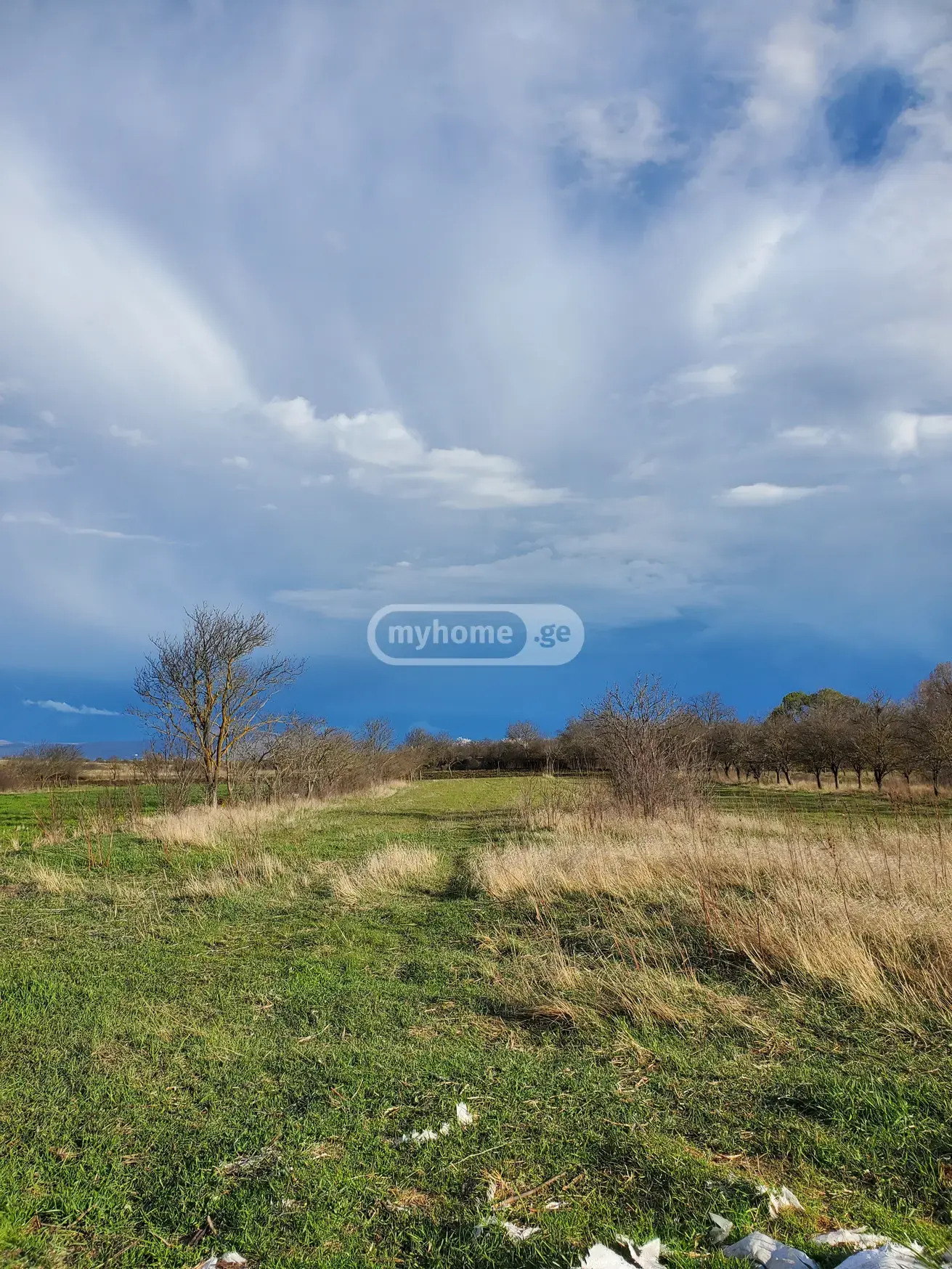 For Sale Sasoplo-Sameurneo Land Plot Dushetis Munitsipalitetshi view 12