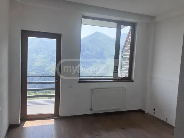 For Sale Universaluri Commercial Space Gudaurshi view 3