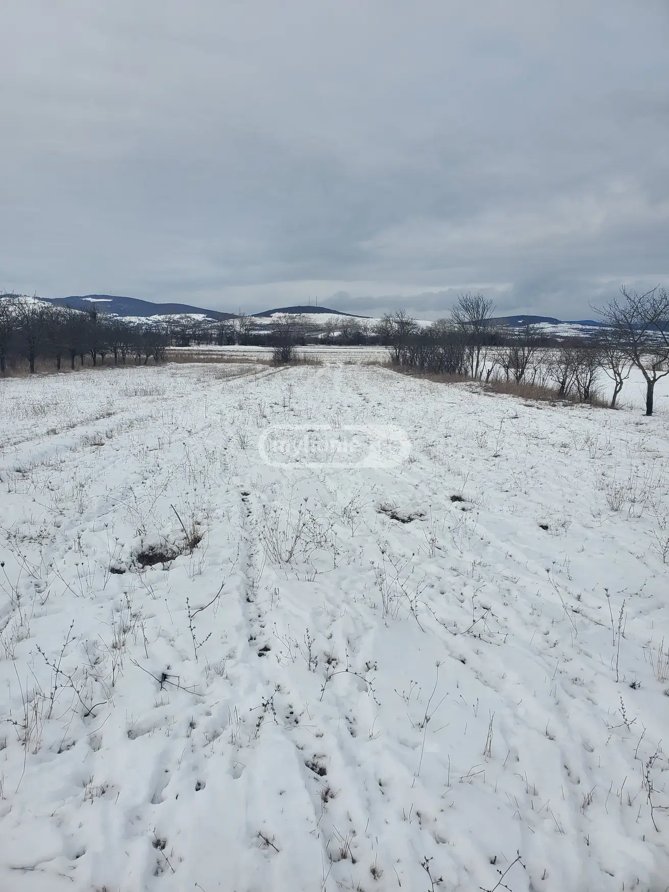 For Sale Sasoplo-Sameurneo Land Plot Dushetis Munitsipalitetshi view 14