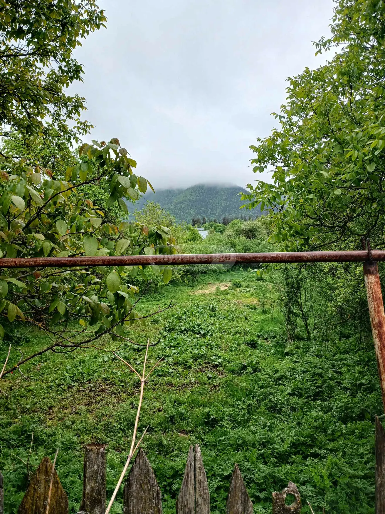 For Sale Sasoplo-Sameurneo Land Plot Borjomis Munitsipalitetshi view 2