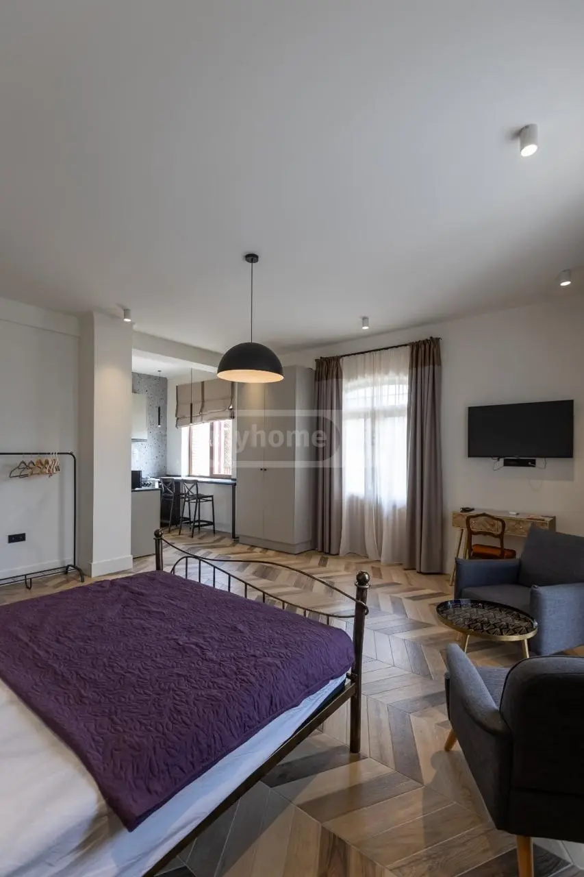For Rent 1 Room Apartment Mtskhetashi view 2