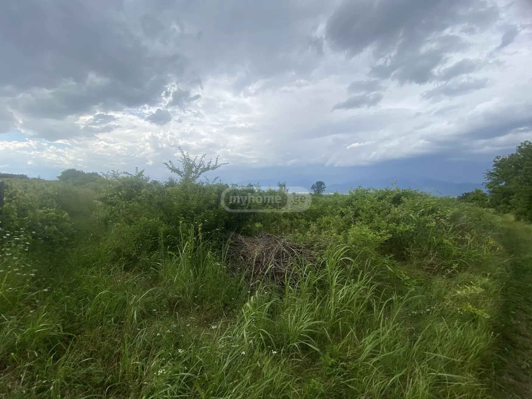 For Sale Sasoplo-Sameurneo Land Plot Telavis Munitsipalitetshi view 1