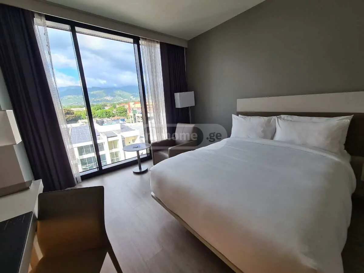 For Rent 10+ Room Sastumro Nadzaladevshi view 27