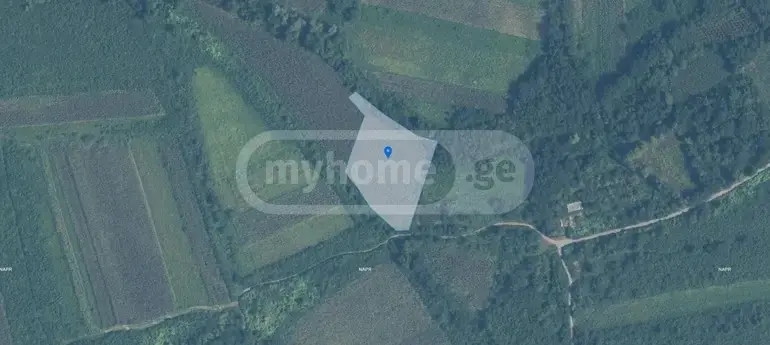 For Sale Sasoplo-Sameurneo Land Plot Samtrediashi view 4