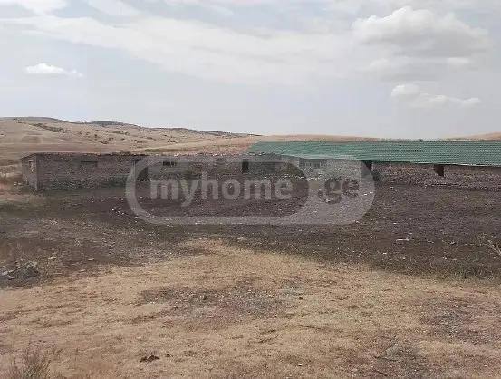 For Sale Sasoplo-Sameurneo Land Plot Sighnaghshi view 2