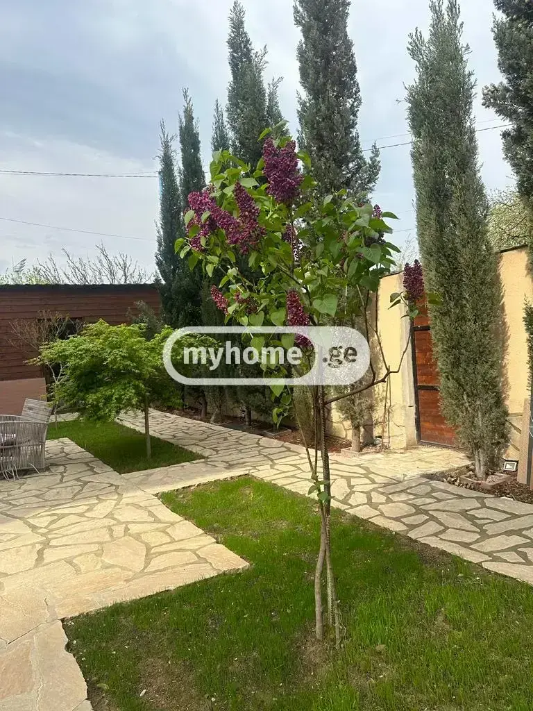 For Rent 10+ Room Sastumro Dighmis Masivshi view 33