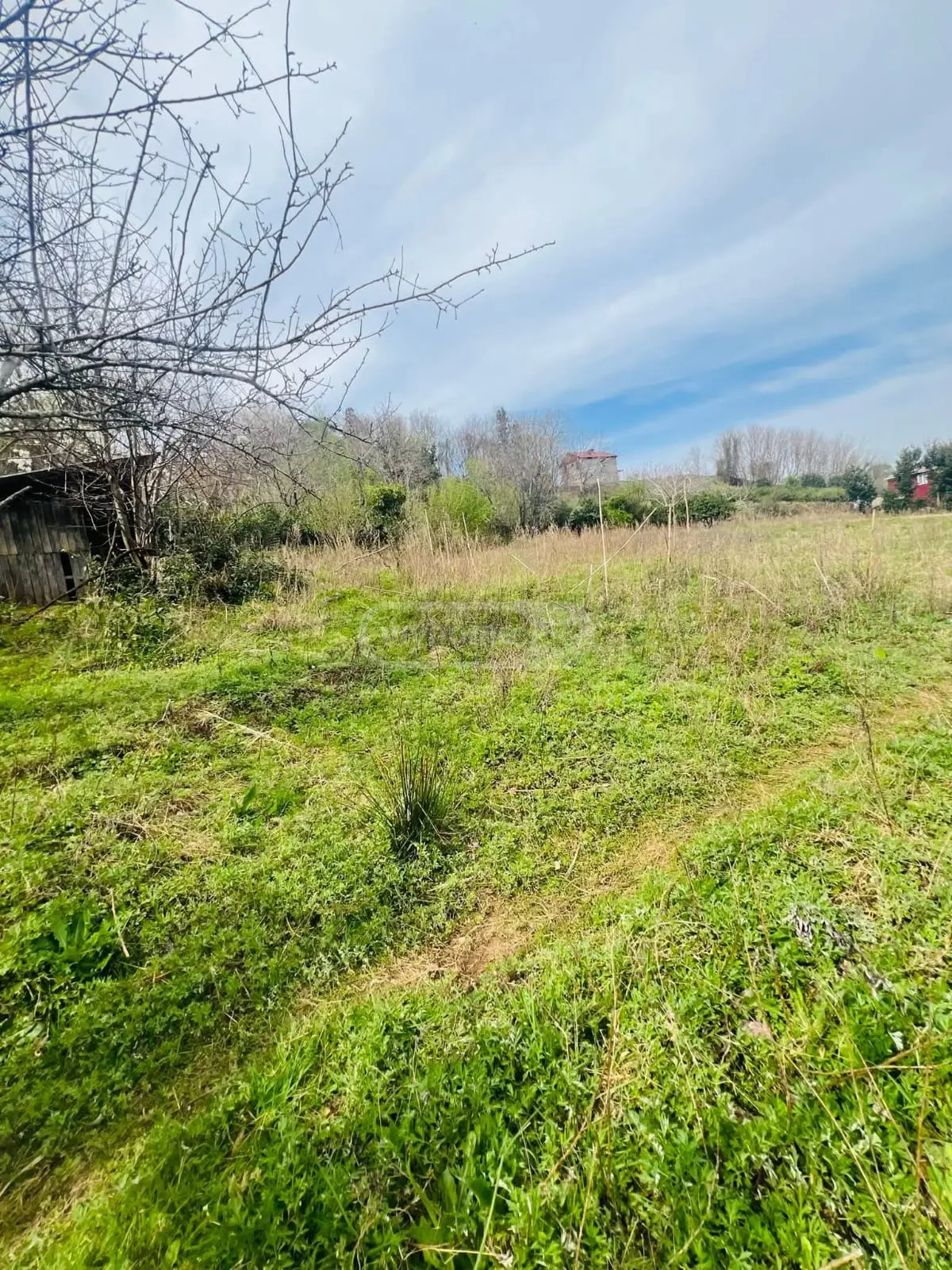 For Sale Sasoplo-Sameurneo Land Plot In Batumi view 7