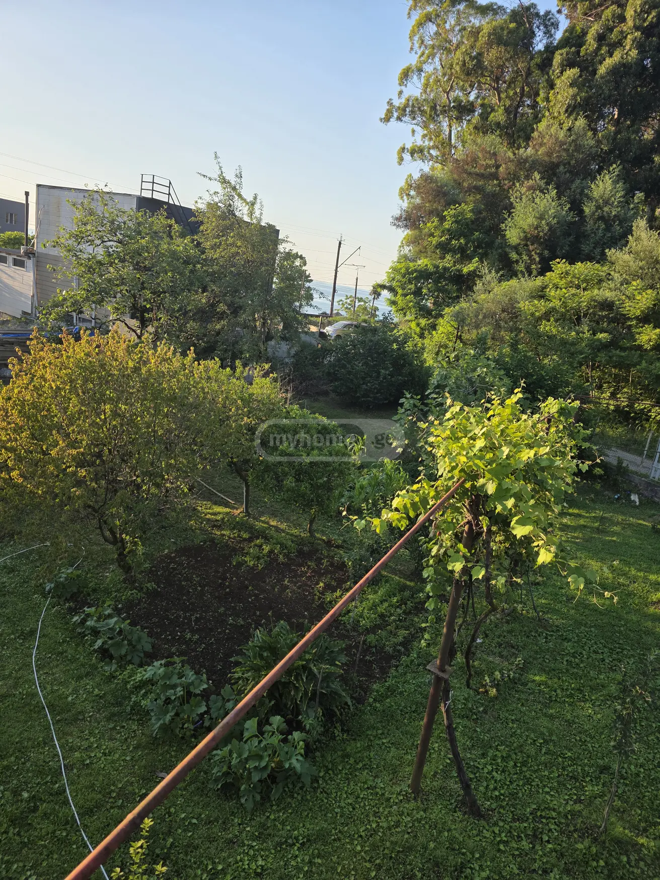 For Sale Sasoplo-Sameurneo Land Plot In Batumi view 1