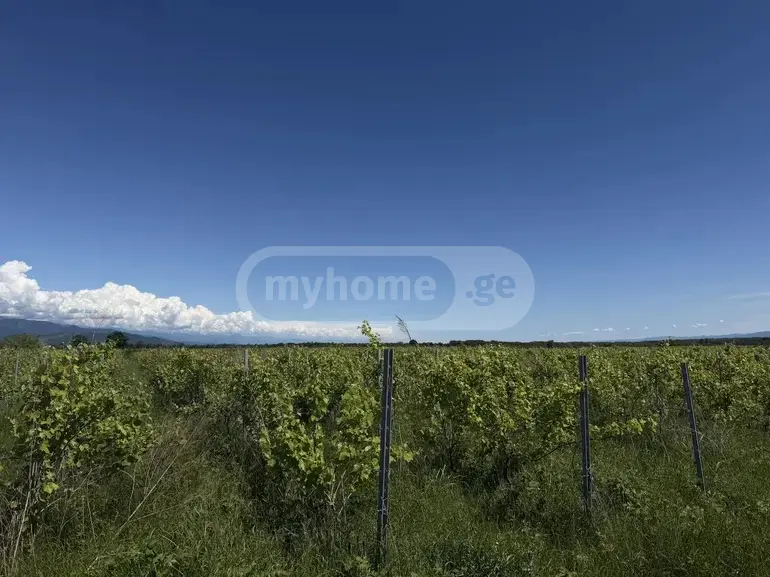 იყიდება მიწა / ნაკვეთი Qvarelshiში view 3