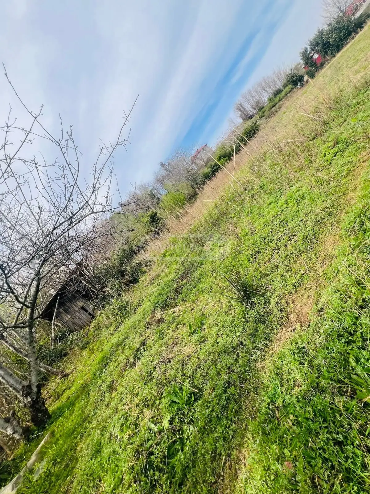 For Sale Sasoplo-Sameurneo Land Plot In Batumi view 8
