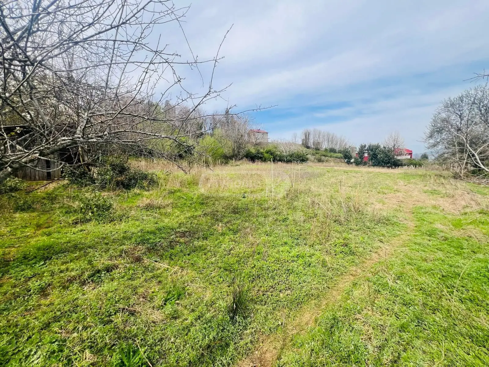 For Sale Sasoplo-Sameurneo Land Plot In Batumi view 3