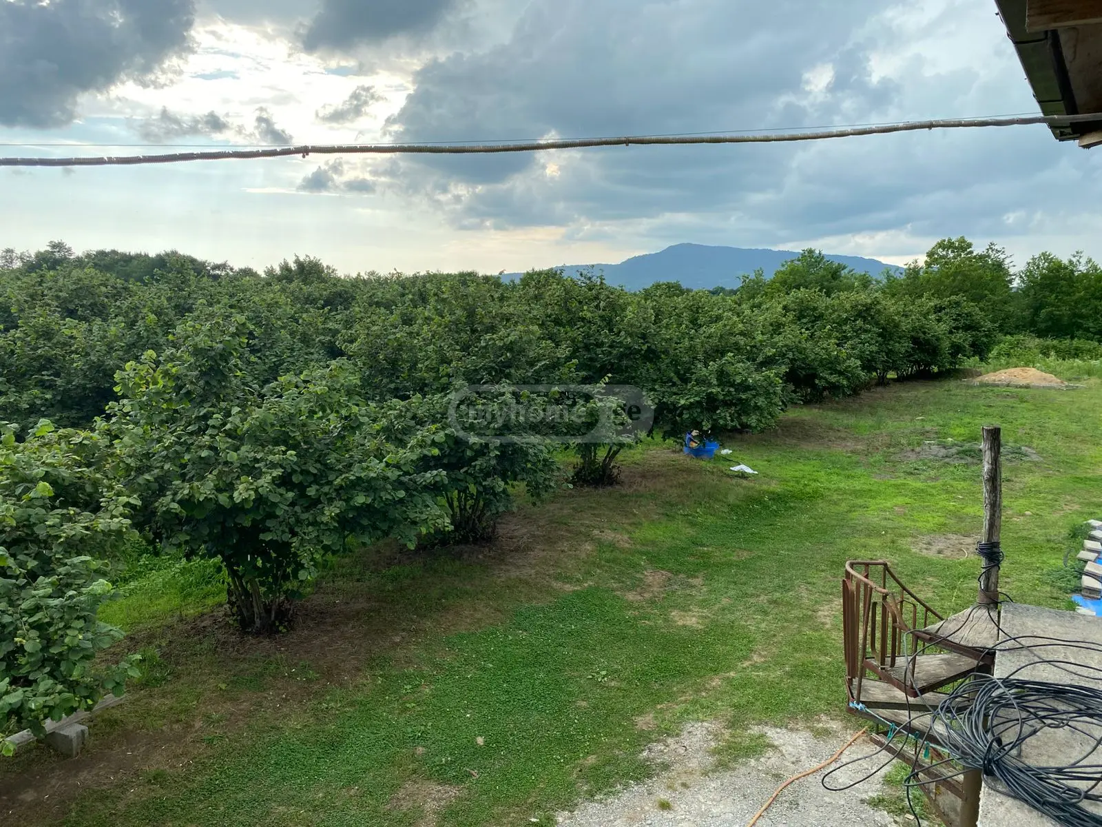 For Sale Sasoplo-Sameurneo Land Plot Zugdidshi view 9