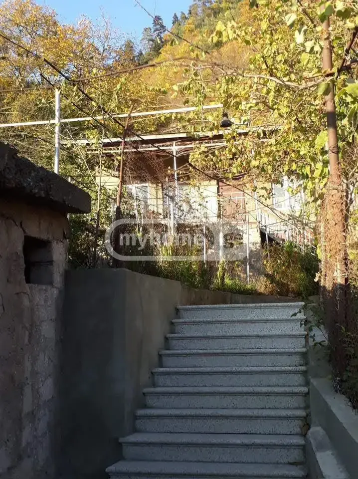For Sale 10+ Room Private House Borjomshi view 45