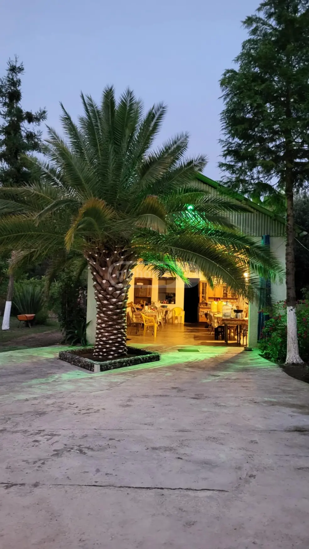 Daily Rent 10+ Room Sastumro Ozurgetis Munitsipalitetshi view 3
