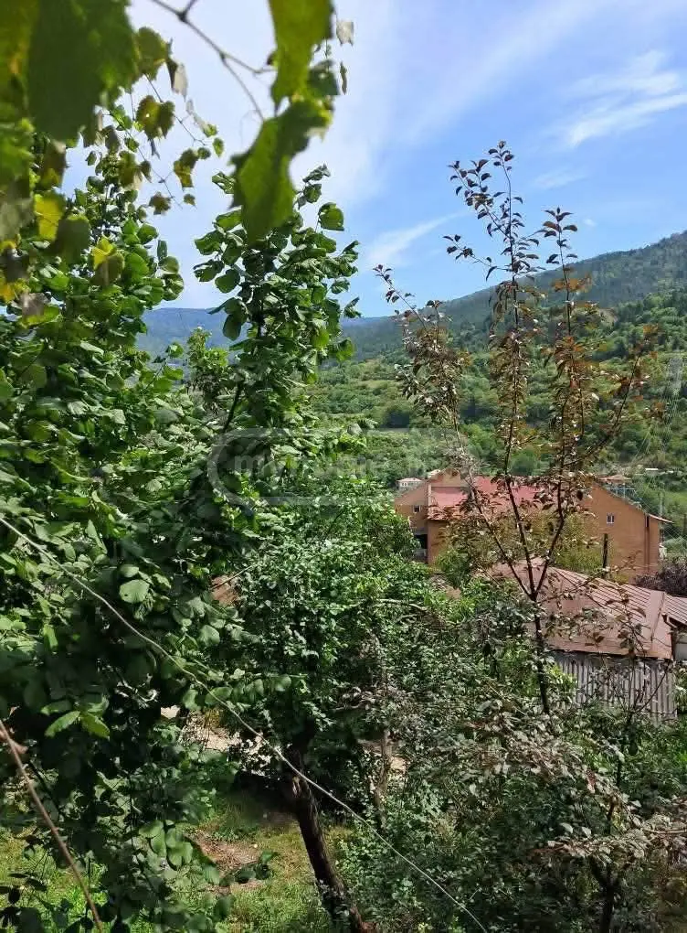 For Sale 6 Room Country House Borjomshi view 3