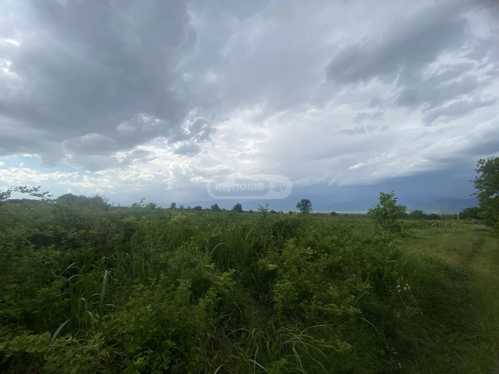 For Sale Sasoplo-Sameurneo Land Plot Telavis Munitsipalitetshi view 3