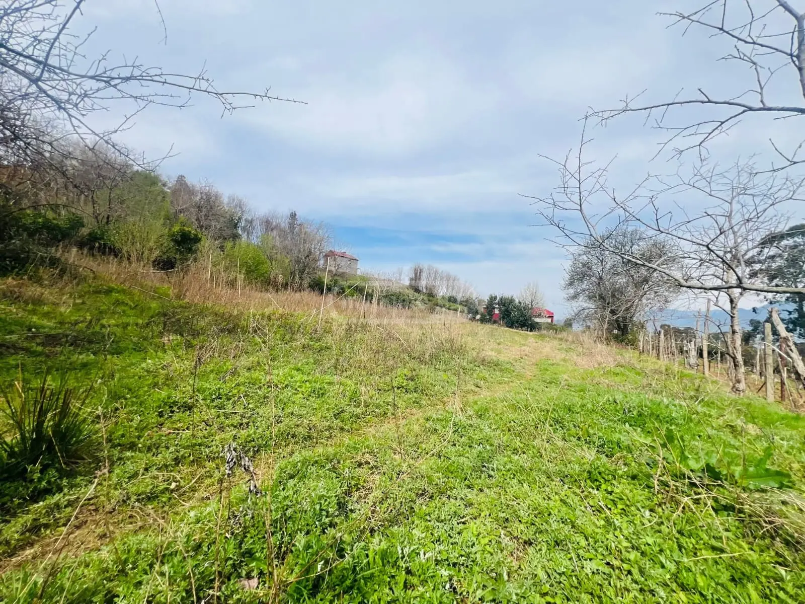 For Sale Sasoplo-Sameurneo Land Plot In Batumi view 1