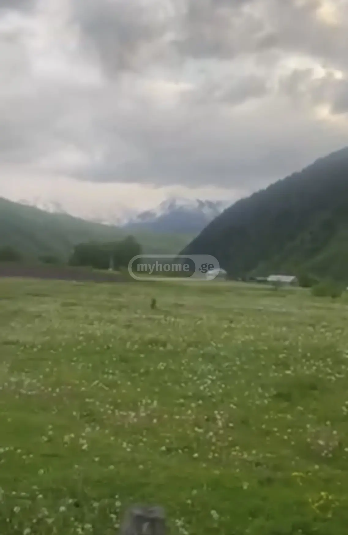 For Sale Ara Sasoplo-Sameurneo Land Plot Mestiashi view 2