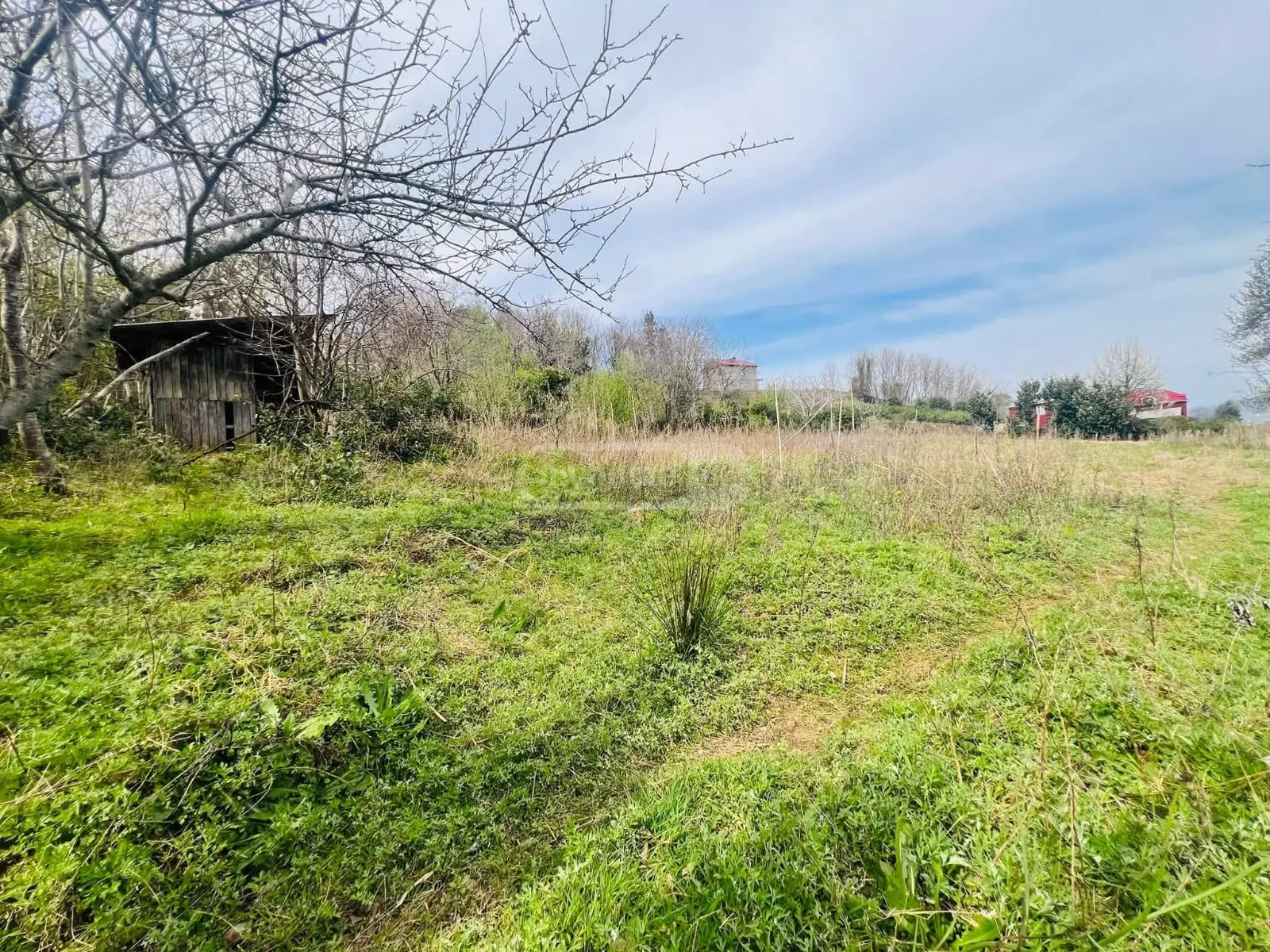 For Sale Sasoplo-Sameurneo Land Plot In Batumi view 4